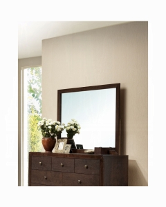 Madison Mirror