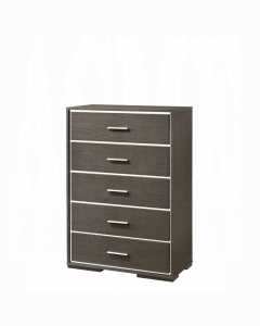 Escher Chest