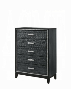 Haiden Chest