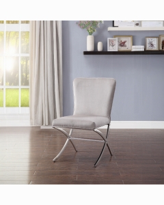Daire Side Chair (Set-2)