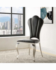 Cyrene Side Chair (Set-2)