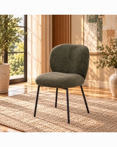 Cassian Side Chair (Set-2)
